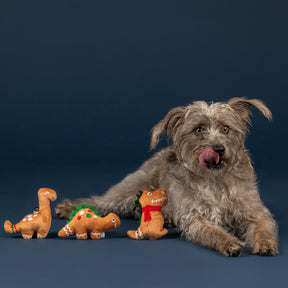 Petshop by Fringe Studio - Dog Toy 3 Pc Set Baking Spirits Bright