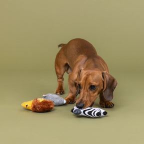 Petshop by Fringe Studio - Dog Toy 3 Pc Set MEET AT THE ZOO