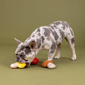 Petshop by Fringe Studio - Dog Toy Shrooming Mini Toys (set of 3)
