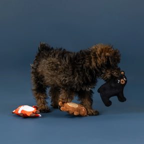 Petshop by Fringe Studio - Dog Toy 3 Piece Lake Cruisers