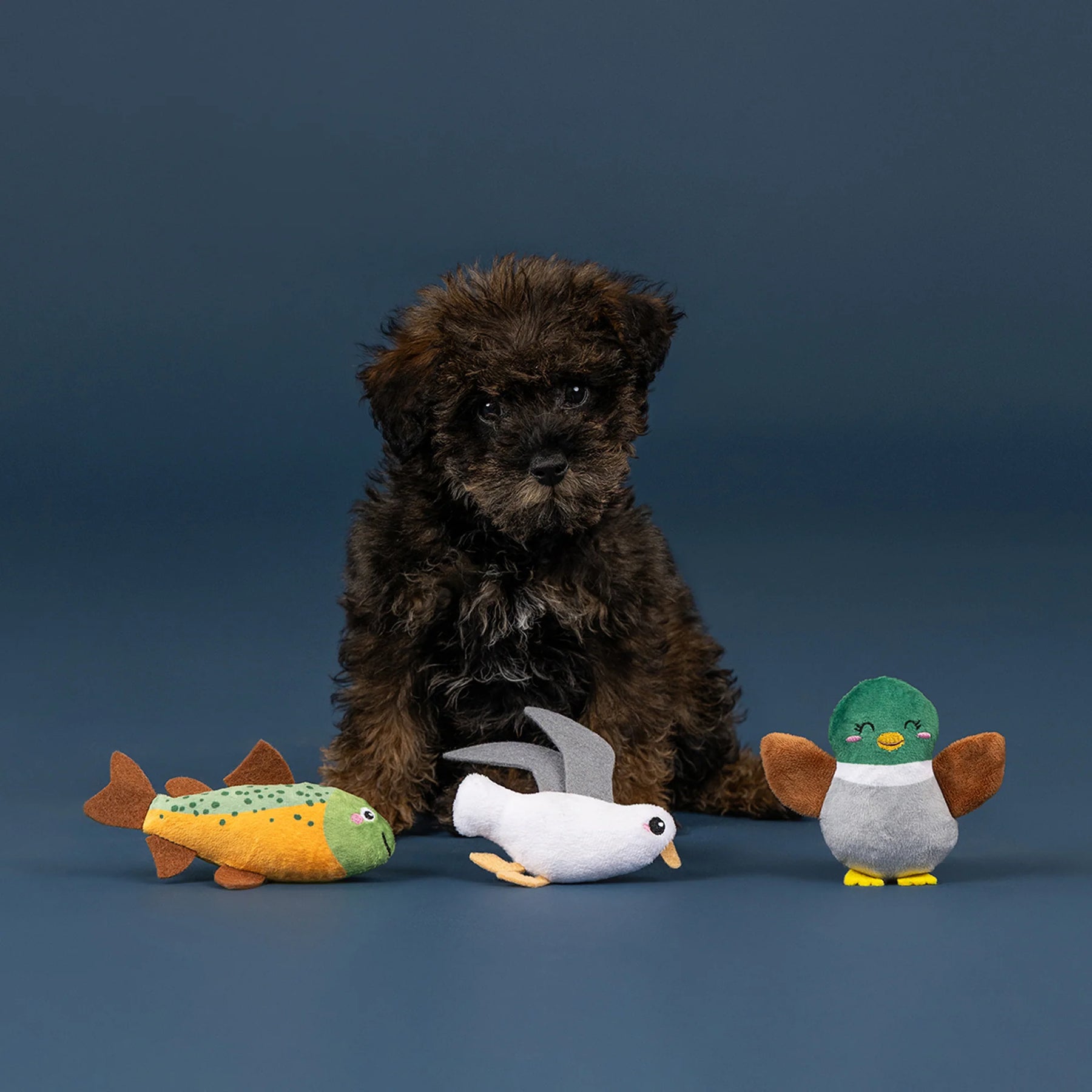 Petshop by Fringe Studio - Dog Toy 3 Piece Lake Cruisers