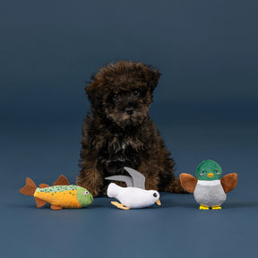 Petshop by Fringe Studio - Dog Toy 3 Piece Lake Cruisers