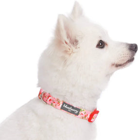 Blueberry Pet - Rose Baby Pink | Petal Paws Floral Dog Collar