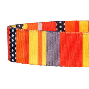 Blueberry Pet - Nautical Flag Dog Collar