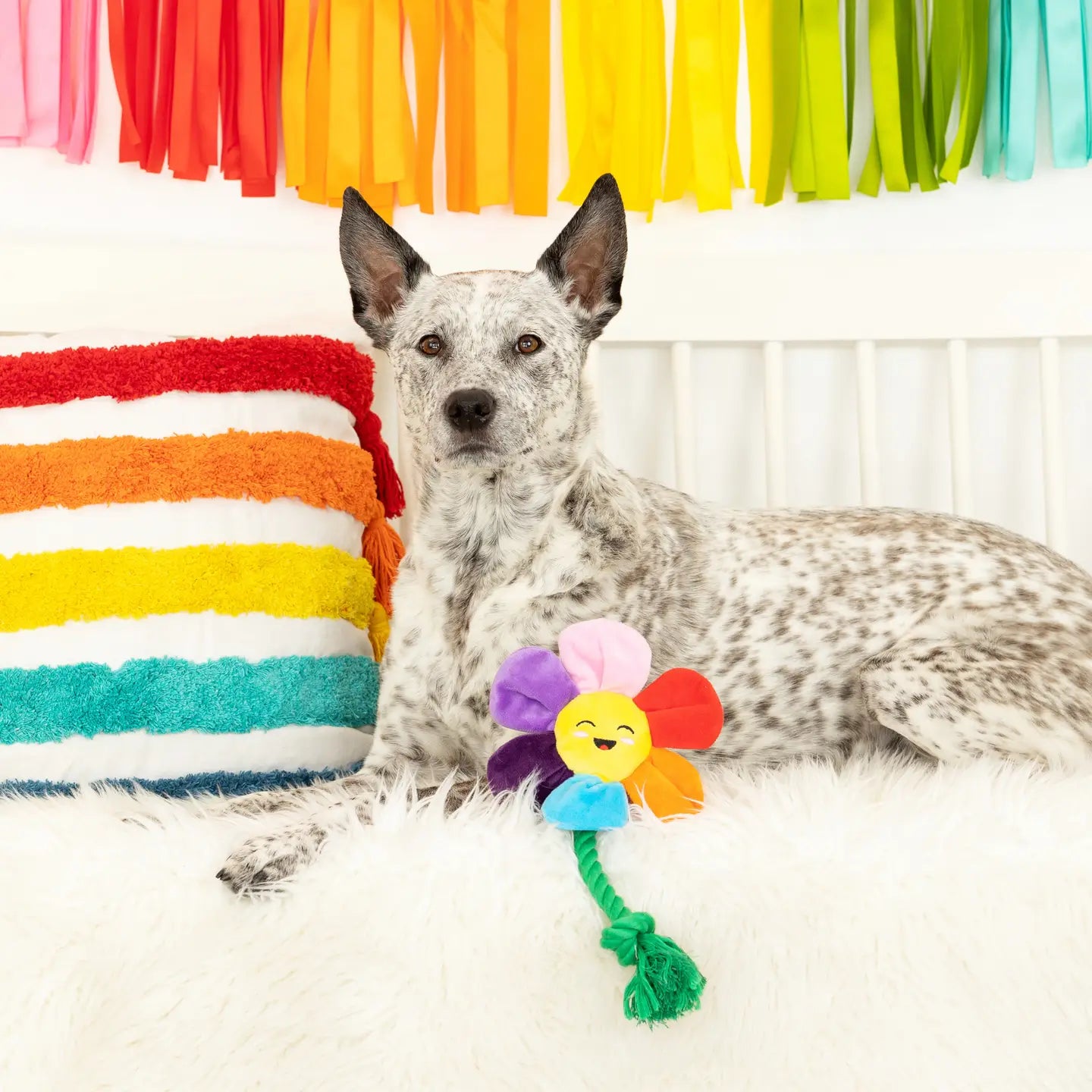 Petshop by Fringe Studio - Dog Toy How's It Growing