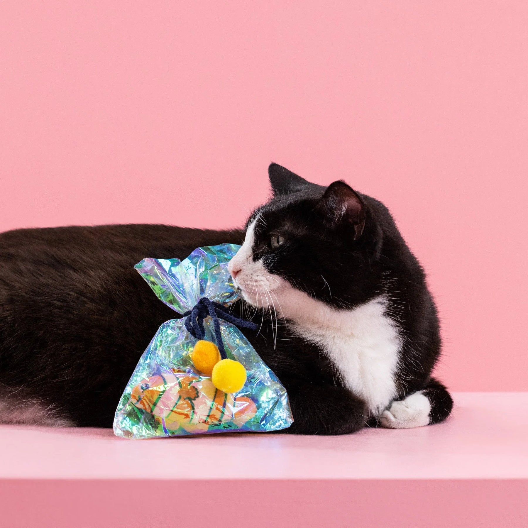 Petshop by Fringe Studio - Cat Toy Clownin' Around