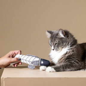 Petshop By Fringe Studio - Cat Toy Canvas Kicker Something's Fishy