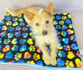 Screaming Pickles - Pet Bed Tie-Dye Paw Print