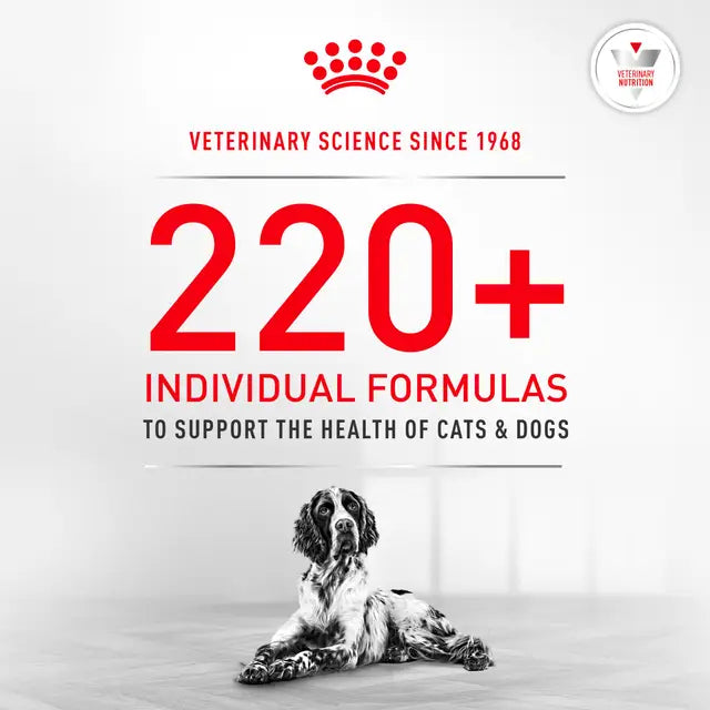 Royal Canin Veterinary Diet - Glycobalance Small Dog Dry