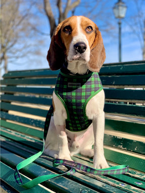 Parisian Pet - Freedom Harness Scottish (Green/Blue)