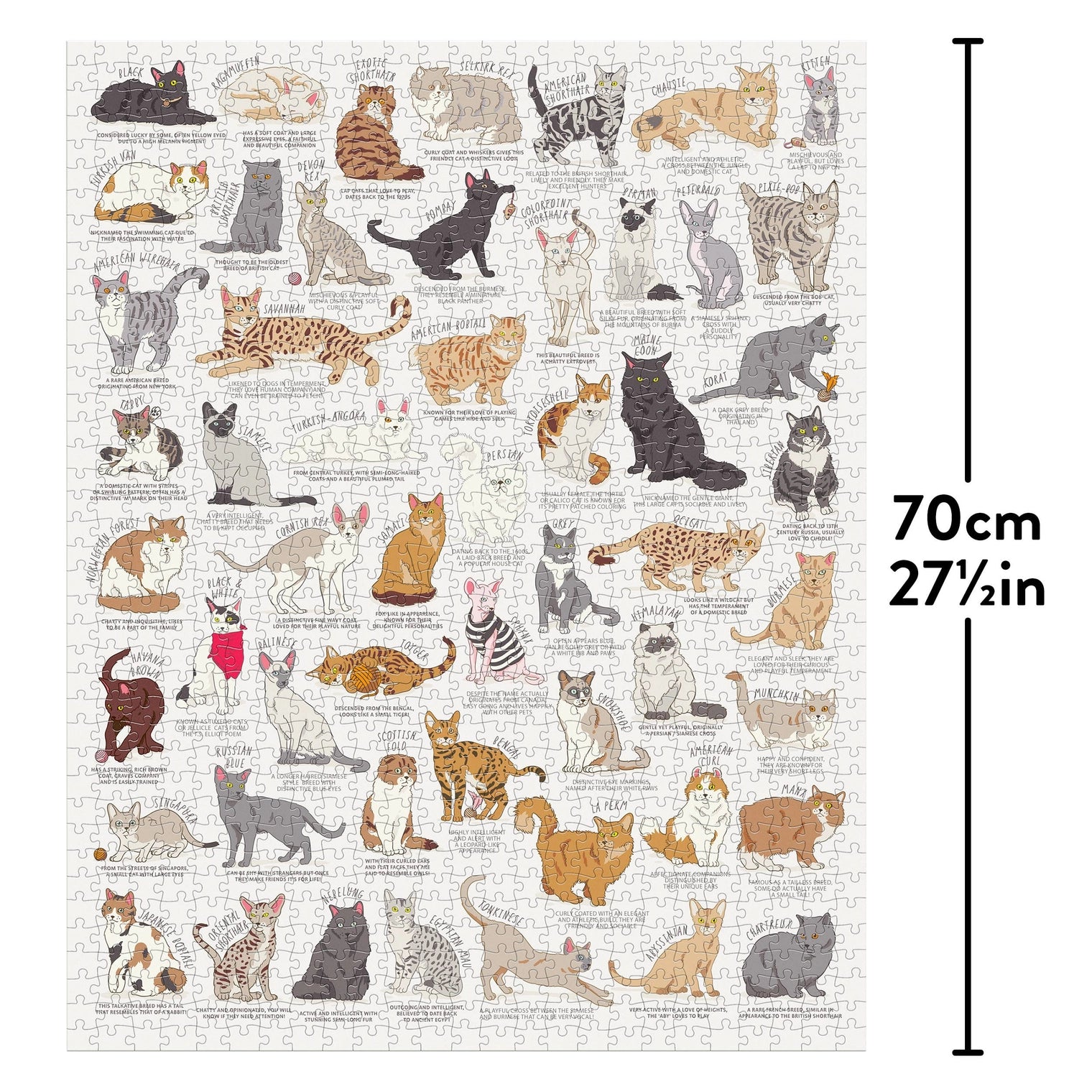 Chronicle-Hachette Book - Puzzle Cat Lover's (1000 Piece)