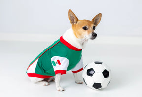 Parisian Pet - Dog Jersey Team Mexico