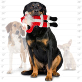Tuffy Dog Toys - Mighty Arctic Santa Christmas Plush