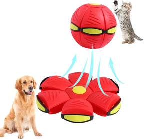 Vigor - Flying Saucer Ball - Outdoor