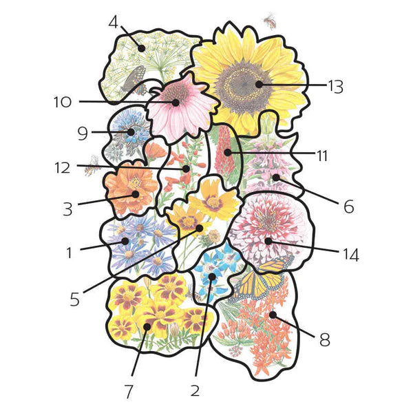 Botanical Interests, Inc. - Flower Mix "Precious Pollinator" Seeds - Southern Agriculture 