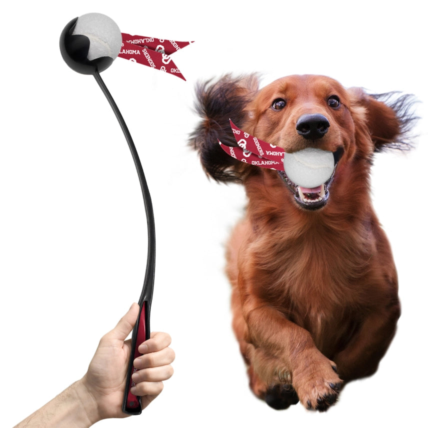 Little Earth Productions - Oklahoma Sooners Pet Ball