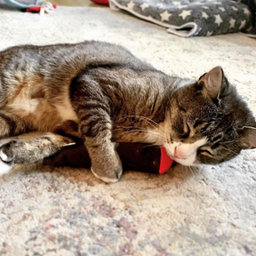 Meowijuana - Catnip Cigar Valerian Root Filled Cat Toy