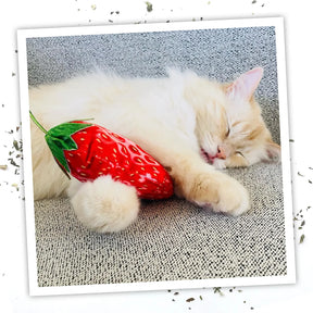 Meowijuana - Get Sprung Refillable Straw-