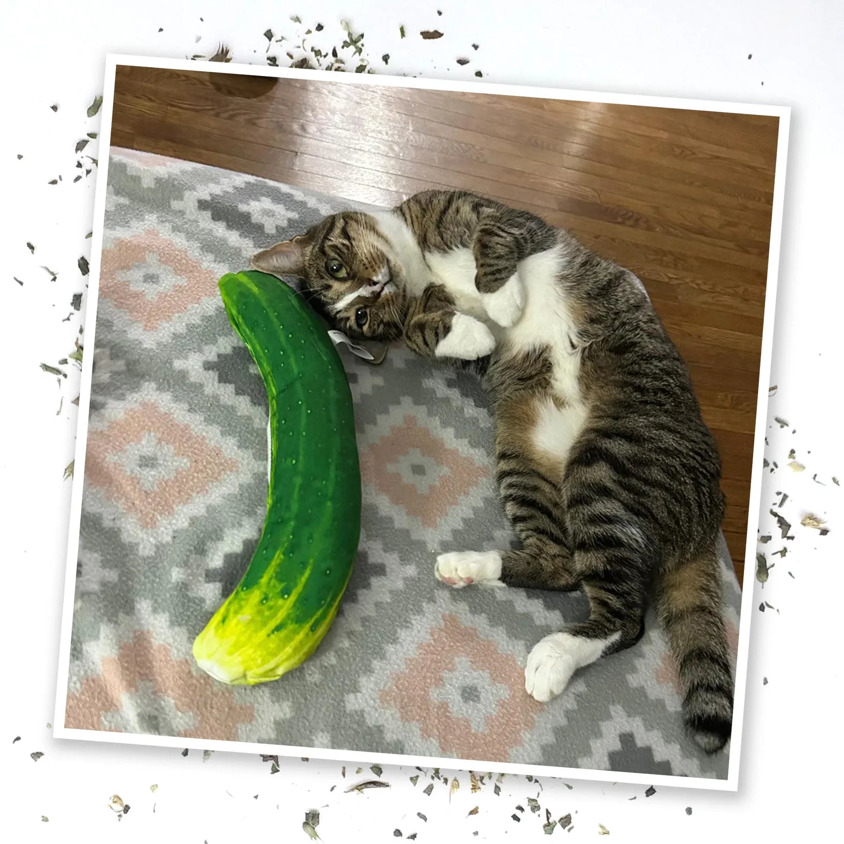 Meowijuana - Get Kickin' Refillable Spicy Pickle