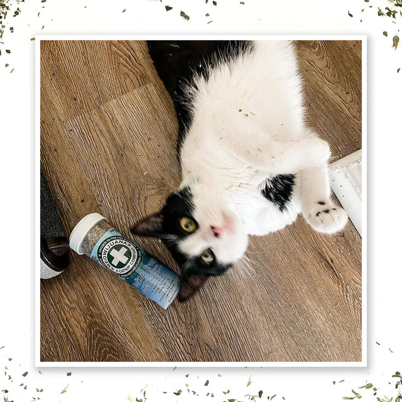 Meowijuana - Feline Frost Catnip Blend