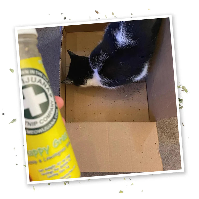 Meowijuana - Happy Gras Catnip