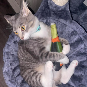 Meowijuana - Get Toasted Champagne Bottle Refillable Kit w/ Catnip