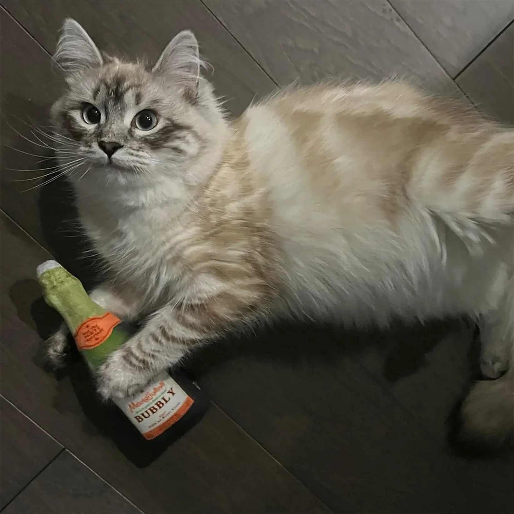 Meowijuana - Get Toasted Champagne Bottle Refillable Kit w/ Catnip