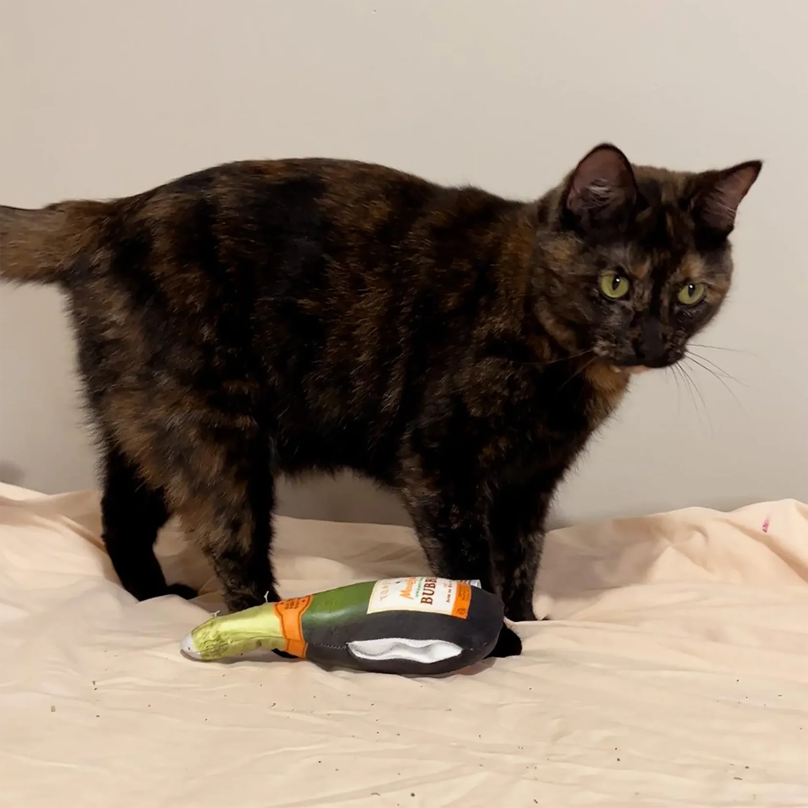 Meowijuana - Get Toasted Champagne Bottle Refillable Kit w/ Catnip