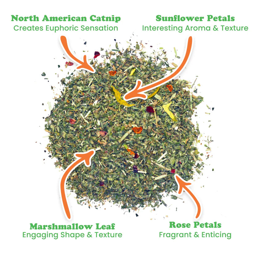 Meowijuana - Cloud 9 Catnip Blend