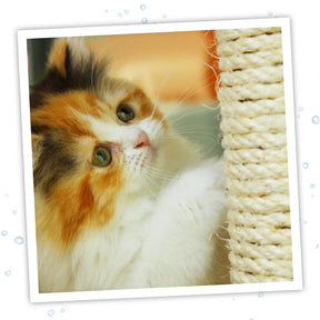 Meowijuana - Catnip & Silvervine Spray