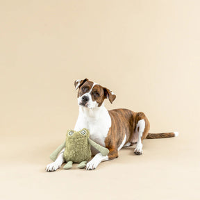 Petshop by Fringe Studio - Dog Toy Earth Friendly Jump Around