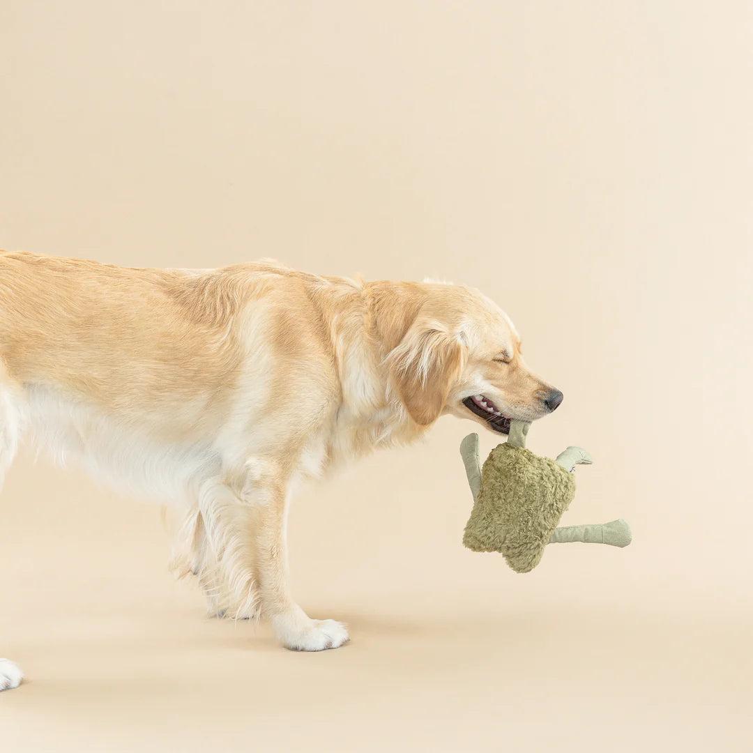 Petshop by Fringe Studio - Dog Toy Earth Friendly Jump Around