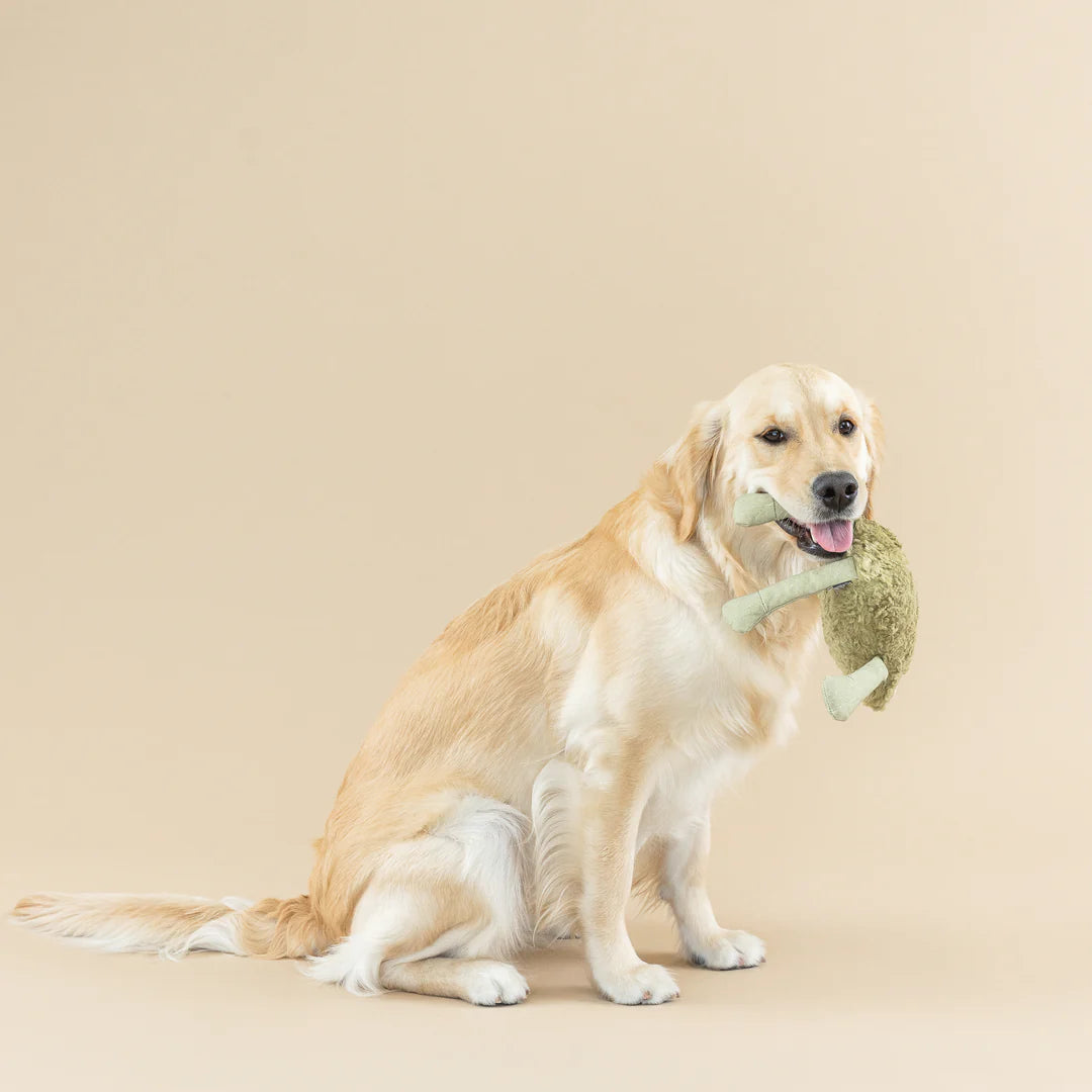 Petshop by Fringe Studio - Dog Toy Earth Friendly Jump Around