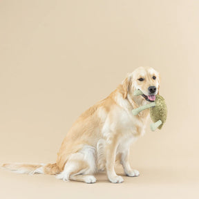 Petshop by Fringe Studio - Dog Toy Earth Friendly Jump Around