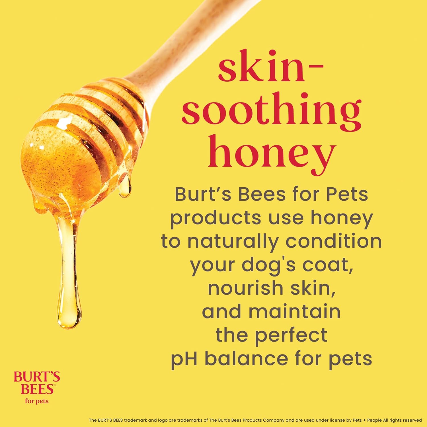 Burt's Bees - Prebiotic & Mushroom Soothing Shampoo for Dogs