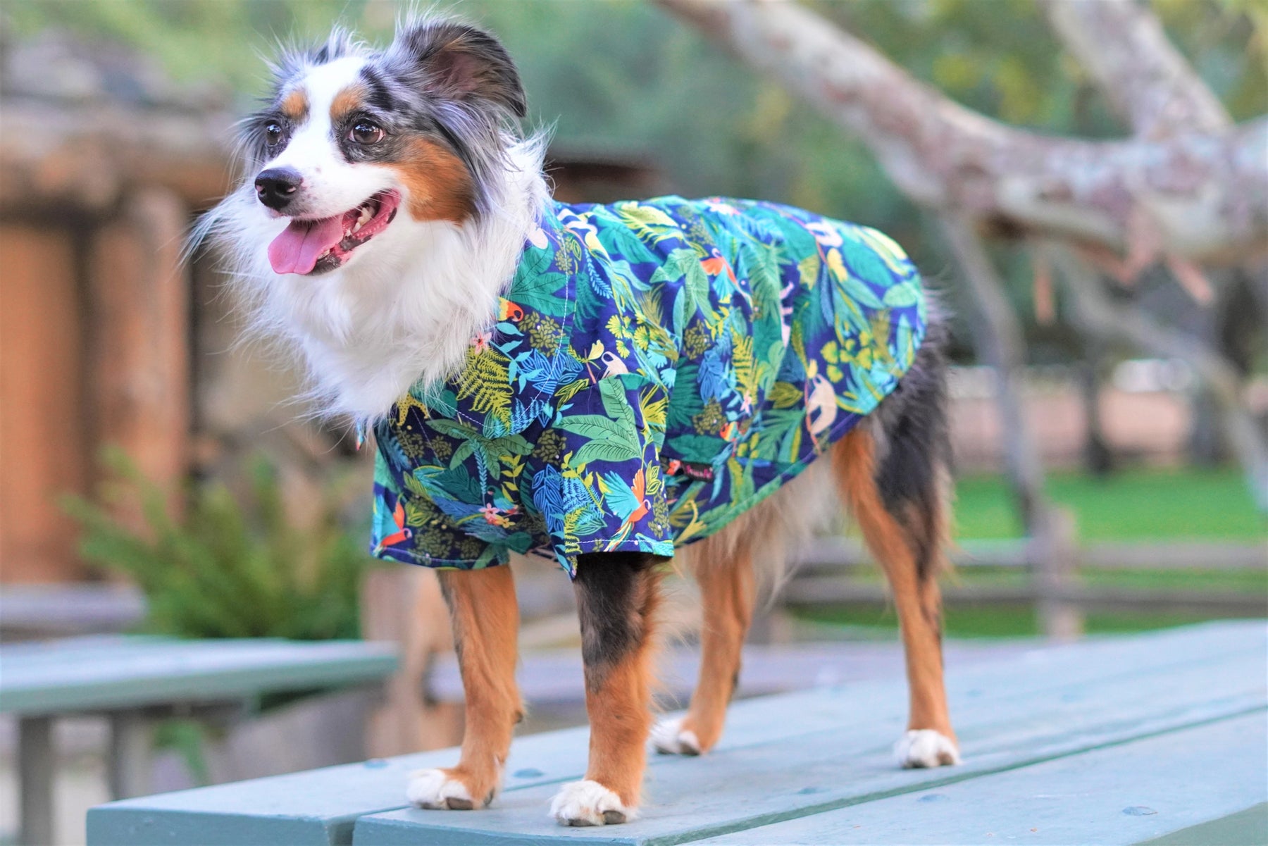 Parisian Pet - Dog T-Shirt Amazonia Camp