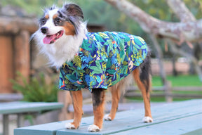 Parisian Pet - Dog T-Shirt Amazonia Camp