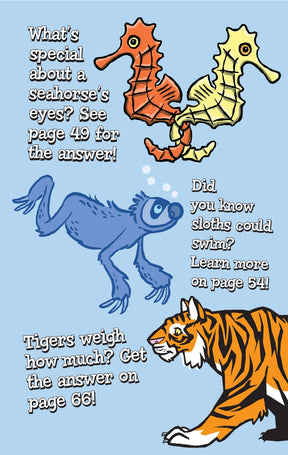 Wellspring- Activity Book - Brain Bending Animal Puzzles for Kids