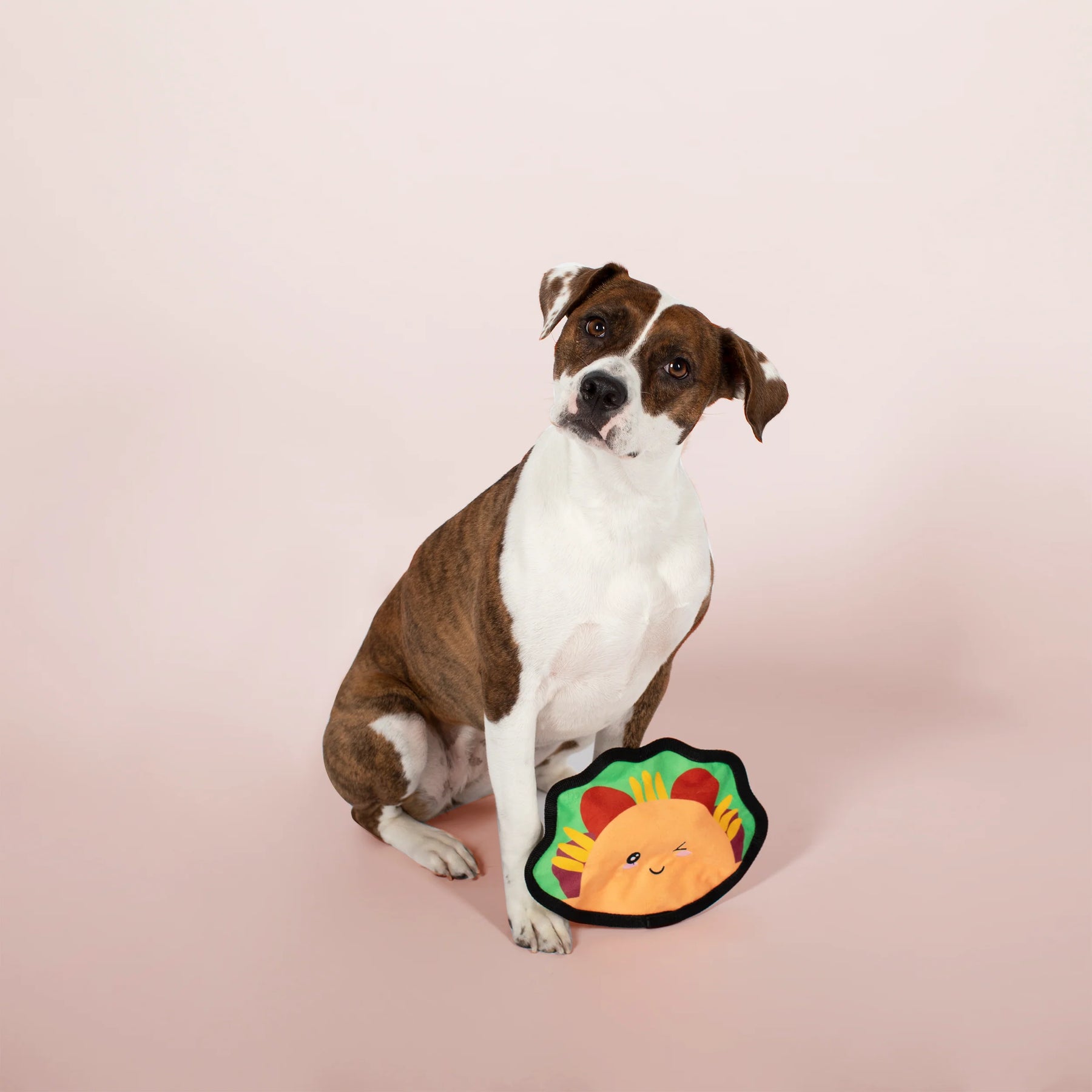 Petshop by Fringe Studio - Dog Toy Taco Bout Some Fun Durable