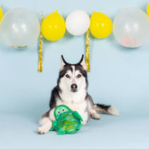Petshop by Fringe Studio - Dog Toy Durable Shell of a Time