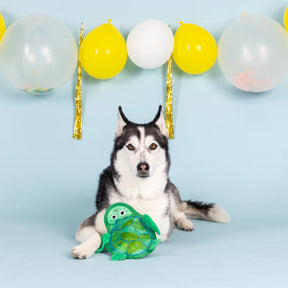 Petshop by Fringe Studio - Dog Toy Durable Shell of a Time