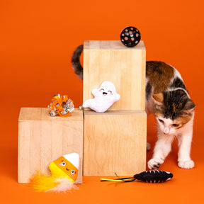 Petshop by Fringe Studio - Cat Toy 6 Pcsweet Treats Spook