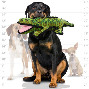 Tuffy Dog Toys - Ocean Alligator Durable Dog Toy