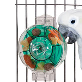 Caitec - Bird Toy Generation II Foraging Wheel - Southern Agriculture 