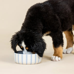 Petshop by Fringe Studio - Pet Bowl Small Rounded Scallop Blue & White