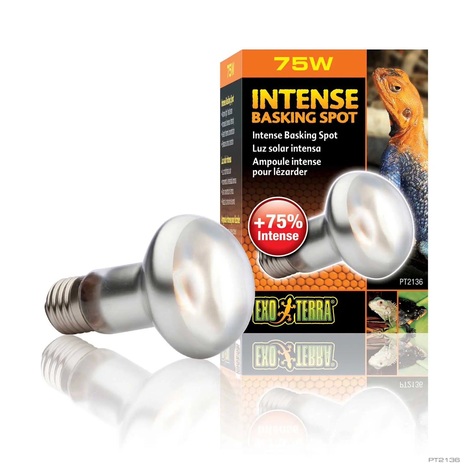 Bulb Intense Basking Spot