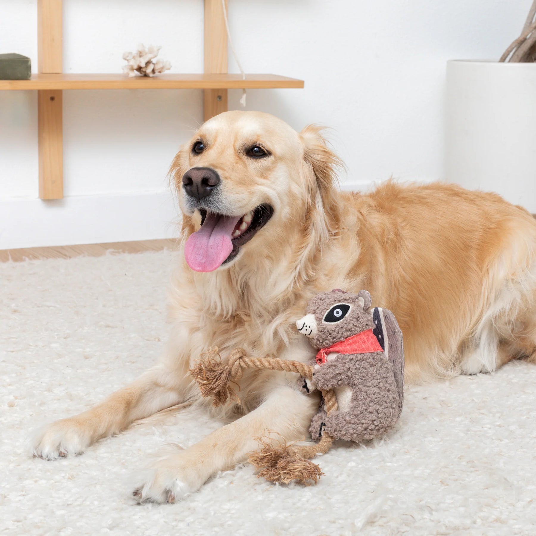 Petshop by Fringe Studio - Dog Toy MS Chip Mixed Material