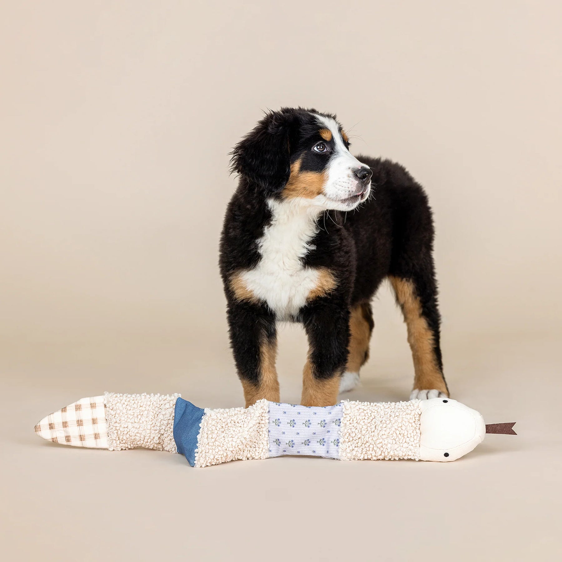 Petshop by Fringe Studio - Dog Toy Ziggy Mixed Material