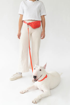 Springer - Sling Bag + Leash