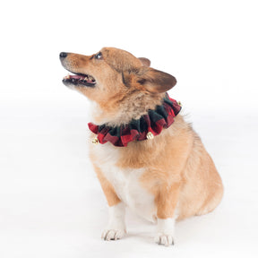Carolina Pet Company - Pendleton Plaid Red Ombre Dog Collar